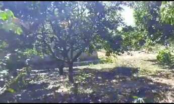 Imagem 5: Chácara a beira do rio