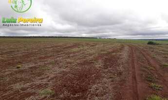 Imagem 5: FAZENDA Á VENDA EM RIBAS DO RIO PARDO - MS - DE 2.007 HEC.(DUPLA APTIEDÃO