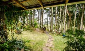 Imagem: Sítio com 31.990m² em Camboriú