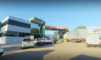 Imagem 2: Galpão - Matão - Campinas