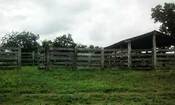 Imagem 3: Fazenda em Dois Irmãos. 47 mil por alqueire
