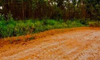 Imagem 7: Lote/Terreno para venda tem 1000 metros quadrados em Verava - Ibiúna - SP