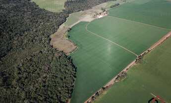 Imagem 3: Área na Bocaina