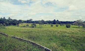 Imagem 7: Vendo Terreno Na Pindoretama Com 20 Hectares E Açude Dentro Vem Terreno Muito Bom. vá