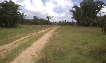 Imagem 5: Vende-se terreno na margens do Rio Poty