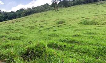 Imagem 3: LL- Vende-se terreno para chácara