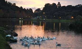 Imagem: Terreno no Loteamento Colinas de São Francisco