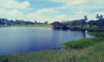 Imagem 5: Vendo Terreno Na Pindoretama Com 20 Hectares E Açude Dentro Vem Terreno Muito Bom. vá
