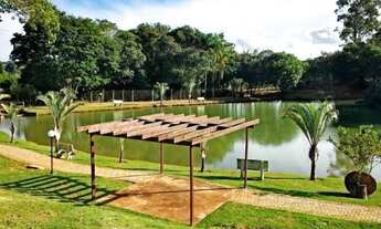 Imagem 7: Terreno reserva Ipanema