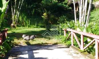 Imagem 6: Chácara com 3 quartos à venda, 12001 m² por R$ 1.450.000 - Vila Progresso - Niterói/RJ