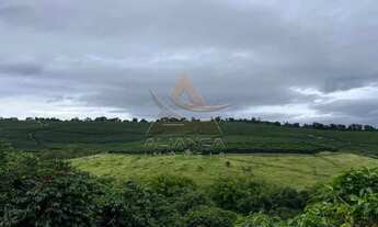 Imagem 3: Fazenda - Oliveira - Zona Rural