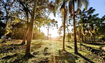 Imagem: Rancho / chácara com sede de fazenda