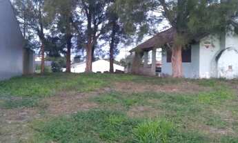 Imagem 5: Linda casa! Casa com 3 dormitórios