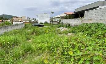 Imagem 2: Terreno medindo 321 m2-Alto do Ribeirão a 2.5 Km do trevo do Erasmo