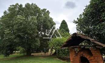 Imagem 6: CHÁCARA EM NICOLAU VERGUEIRO