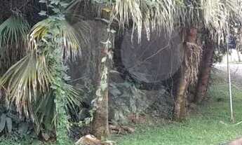 Imagem 6: Terreno à venda em Caraguatá - SP