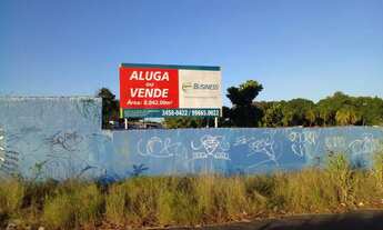 Imagem: Lote/Terreno para aluguel e venda tem 8042