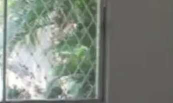 Imagem 6: COMERCIAL - JARDIM PAULISTA - SP