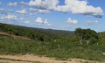 Imagem 4: FAZENDA EM IBIQUERA - 910 TAREFAS