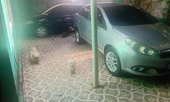 Imagem 3: Jardim royal casa pra alugar