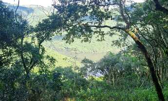 Imagem: Hectares para chácara