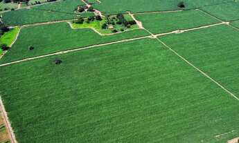 Imagem 6: Vende-se sítio município de Indiaporã