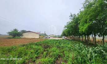 Imagem 4: VENDO CHÁCARA POV PAU FERRO - CRAÍBAS - AL Apenas 12km de Arapiraca