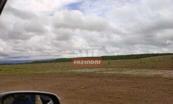 Imagem 5: Fazenda 103 Alqueires (500 Hectares) Doverlândia - GO