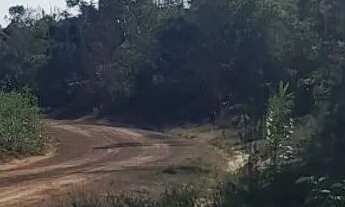 Imagem 2: Vende-se terreno