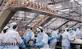 Imagem 2: Venda de ativos, hoteis, resorts, frigorificos e outos