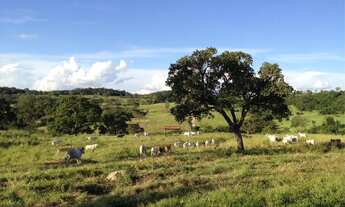 Imagem 6: Fazenda à venda 132 alqueires em Goiás-GO