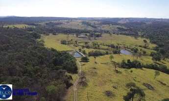 Imagem: Fazenda à Venda em Indiara - GO 47 Alqueires