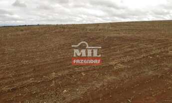 Imagem 3: Fazenda 103 Alqueires (500 Hectares) Doverlândia - GO