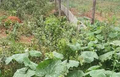 Imagem 3: Venda ou troca Chácara com venda por R$110.000