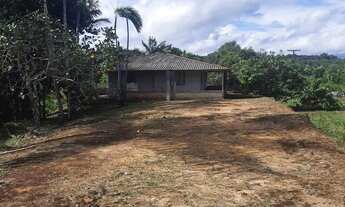 Imagem 7: Vendo um belo sítio am 010 beira da estrada informação * com igarape! E frutei