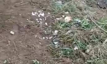 Imagem 6: Lote 200 m2 Monte-mor bairro São Clemente 2