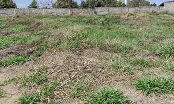 Imagem 7: Terreno Vale das Palmeiras