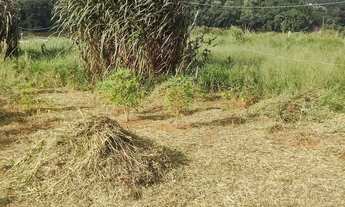 Imagem 3: Vendo lotes 500 m2