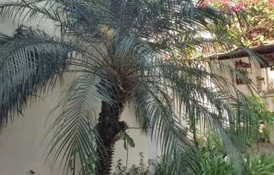 Imagem 7: Sobrado com 3 dormitórios à venda, 300 m² por R$ 1.100.000,00 - Cangaíba - São Paulo/SP