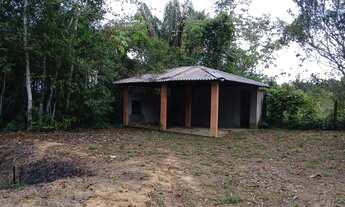 Imagem: Chacara no ramal do janauari