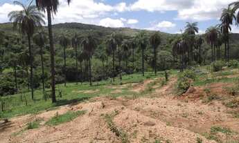 Imagem 3: Lindo terreno rural de 41 hectares na MG10 * WhtsAAP Guilherme
