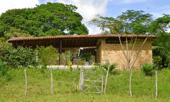 Imagem 2: Granja no conde Chácara com venda por R$850.000