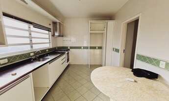 Imagem 4: Casa 3 Pisos ideal para empresas com duas lojas + terraço com churrasqueira