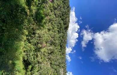 Imagem 6: Circuito Caravaggio - Área com vista para o Vale!