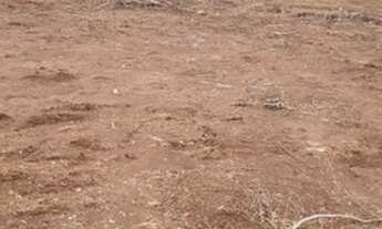 Imagem 6: ÁREA PARA FORMAR CHÁCARA