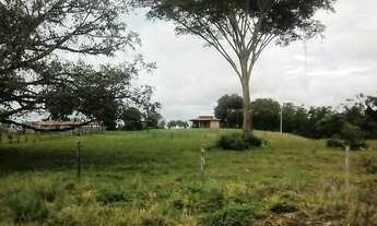 Imagem 4: Fazenda em Dois Irmãos. 47 mil por alqueire