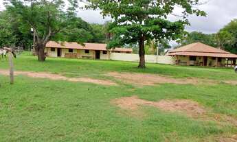 Imagem 5: 535 alqueires em Gurupi-TO