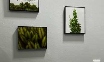 Imagem 3: Apartamento para Temporada 100% Reformado Poucas quadras da praia do Embaré