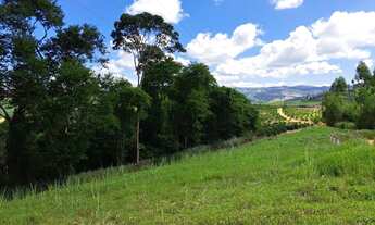 Imagem 5: BELÍSSIMA CHÁCARA NO VALE DOS VINHEDOS(TABOCAS