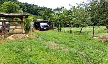 Imagem 3: 20 alqueires com muita pastagem